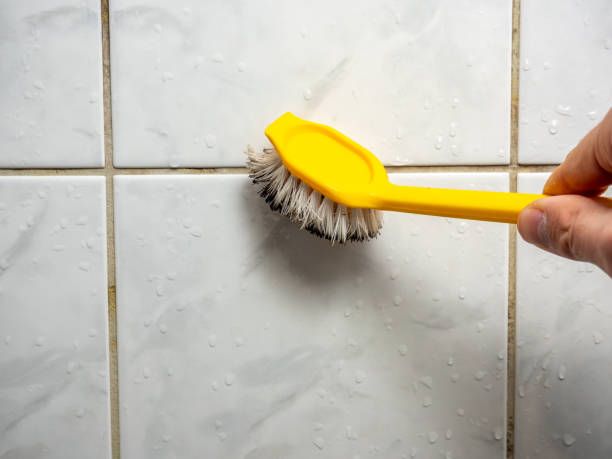 Best Local Mold Removal Service  in New Egypt, NJ